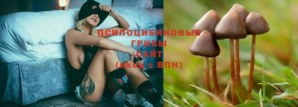 бошки Заволжье