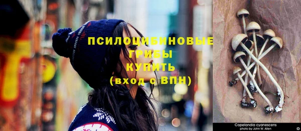 бошки Заволжье