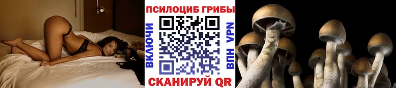Псилоцибиновые грибы ЛСД  кракен ONION  Пролетарск 